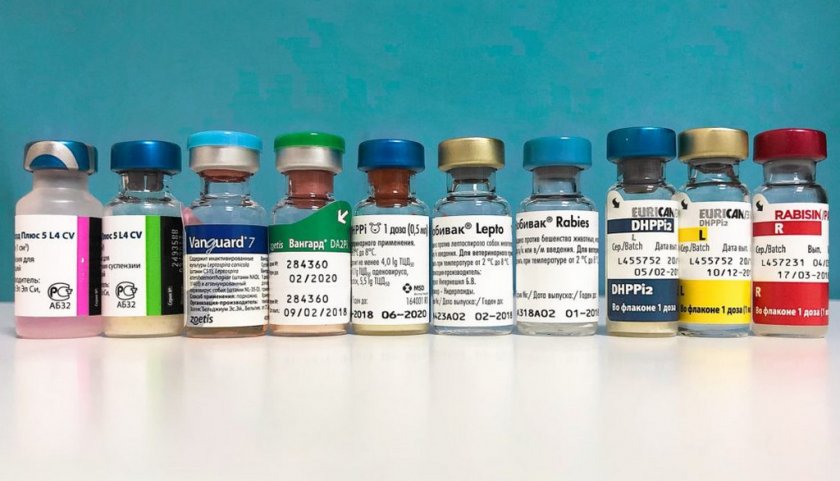 Разновидности вакцин