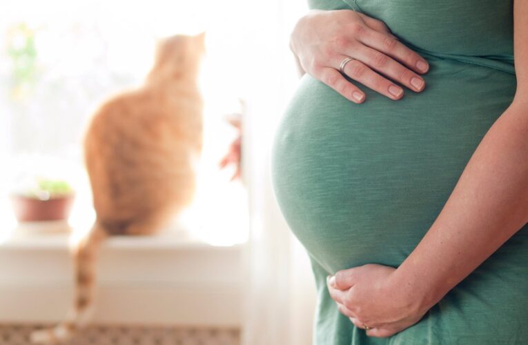 Токсоплазмоз у беременных — что делать?
