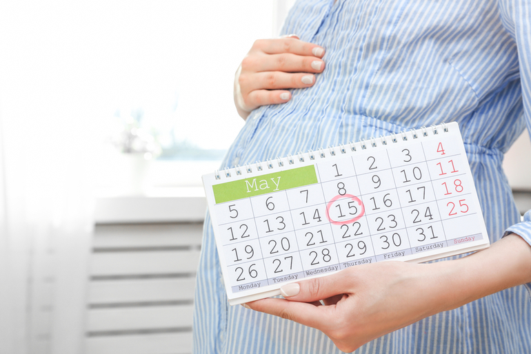 Определение онлайн срока беременности