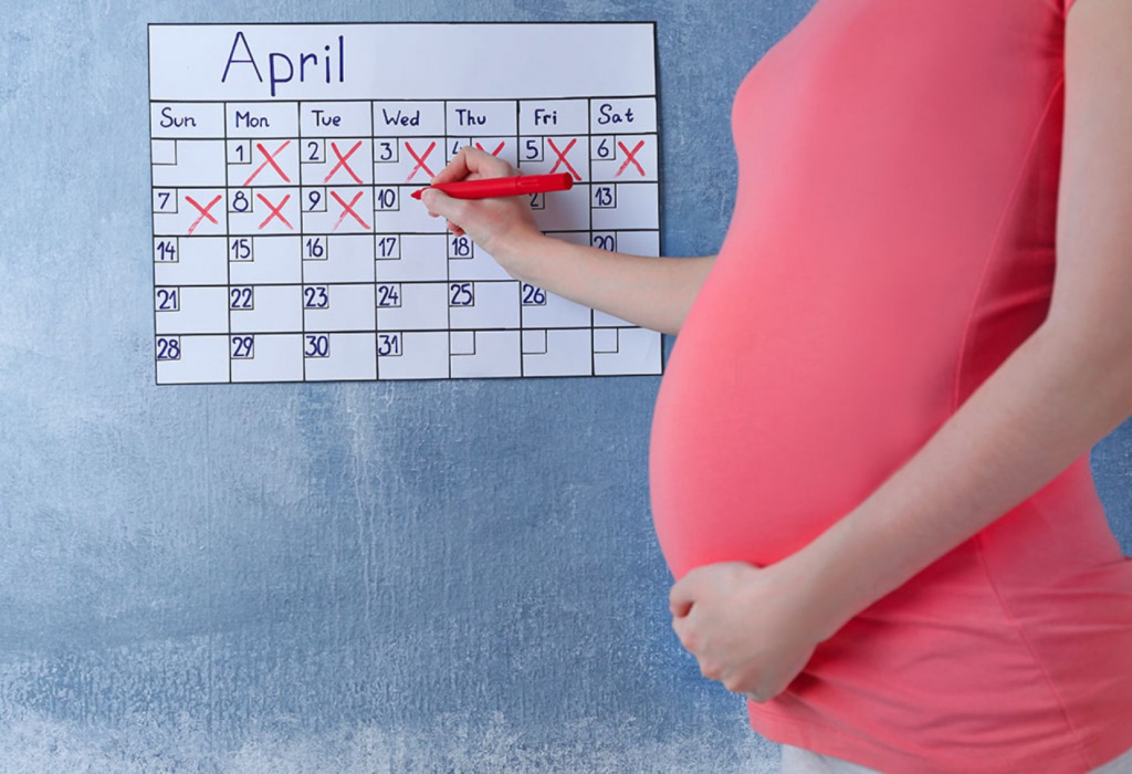 Срок беременности: описание. Рассчитать срок беременности. Ранние и поздние сроки