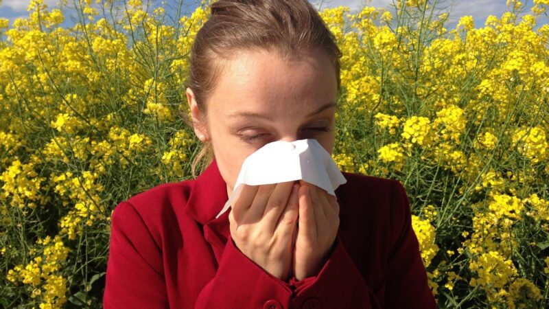 Как избавиться от аллергии в домашних условиях?